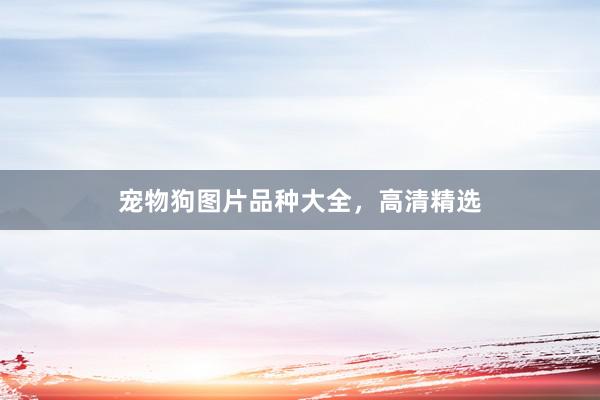 宠物狗图片品种大全，高清精选